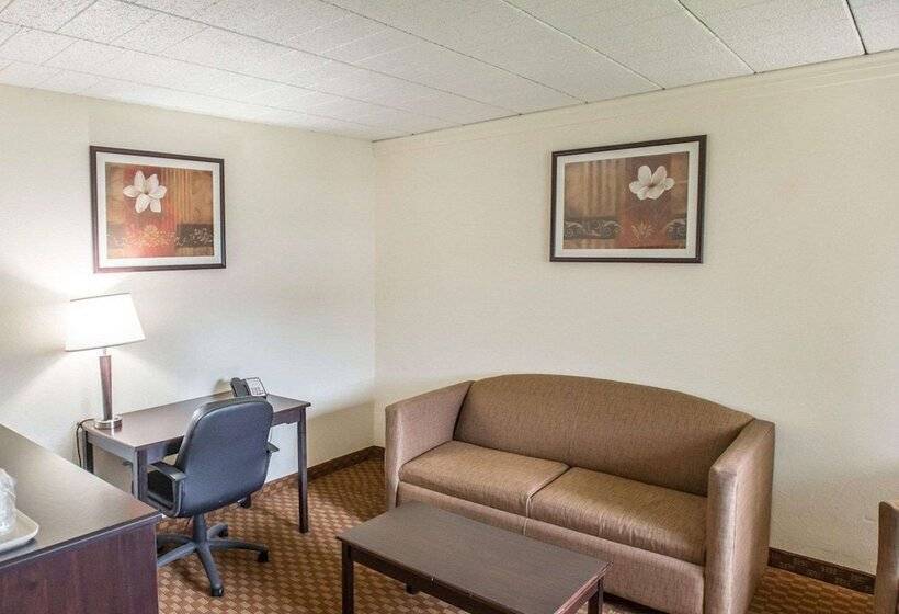 ホテル Econo Lodge Inn & Suites Shamokin Dam   Selinsgrove
