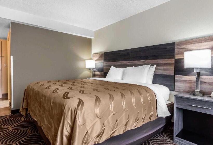 ホテル Quality Inn & Suites