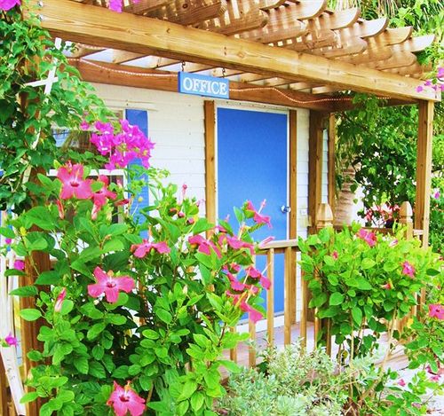 ホテル Seashell Beach Resort