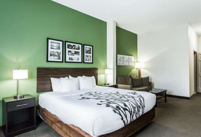 酒店 Sleep Inn & Suites Smithfield Near I 95