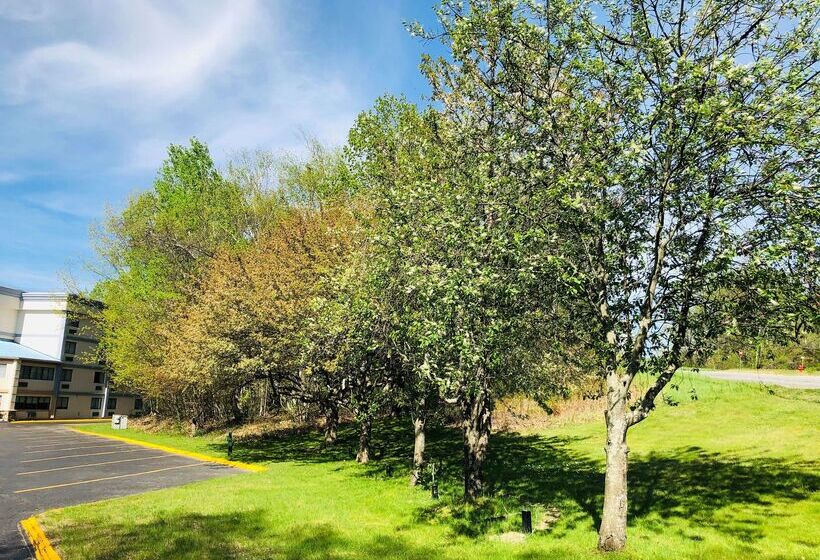 فندق Best Western West Lebanon Hanover