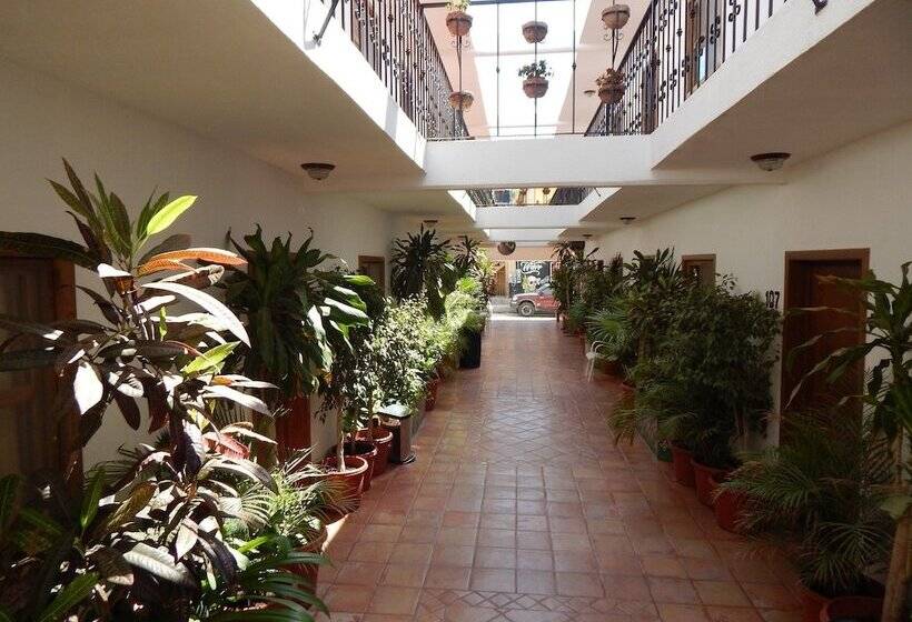 هتل Cabo Cush