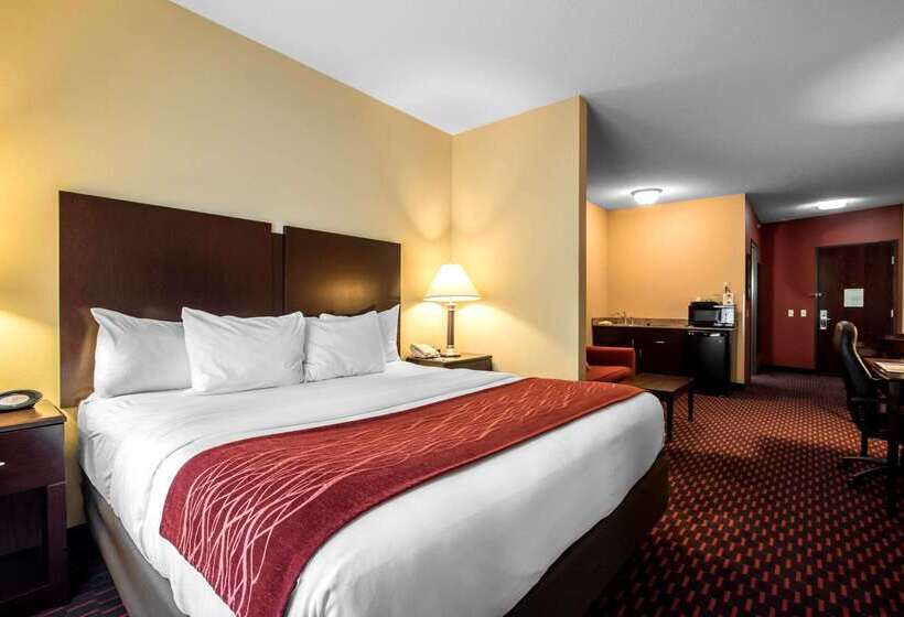 ホテル Comfort Inn & Suites