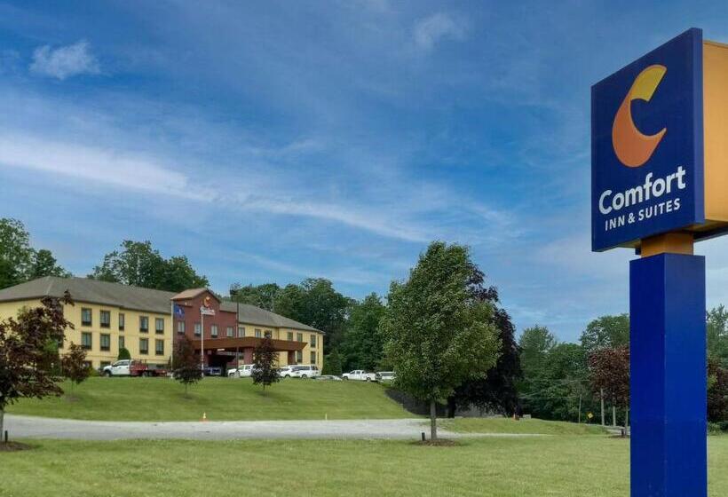 ホテル Comfort Inn & Suites