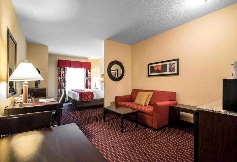 ホテル Comfort Inn & Suites