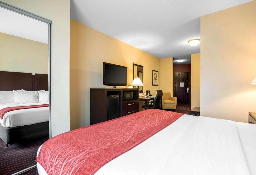 ホテル Comfort Inn & Suites
