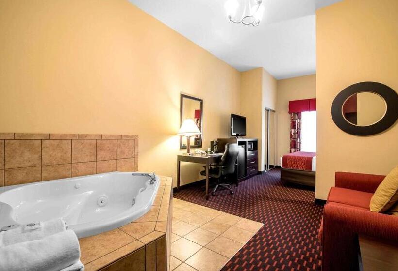 ホテル Comfort Inn & Suites