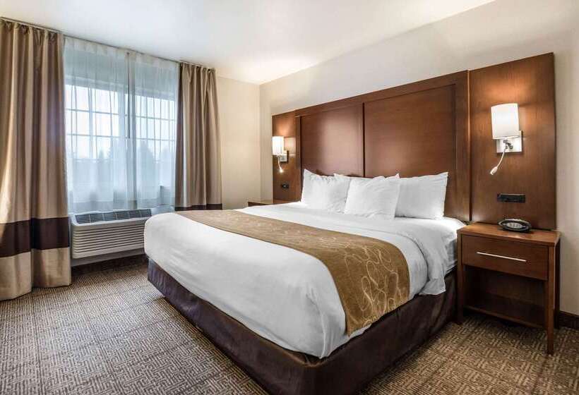 酒店 Comfort Suites At Par 4 Resort