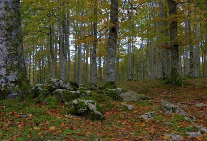 호텔 Hostal Rural Elosta