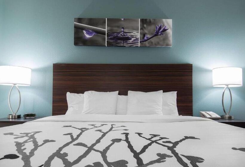 酒店 Sleep Inn & Suites Washington Near Peoria