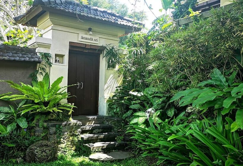 Villa Nirvana