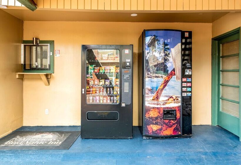 酒店 Americas Best Value Inn And Suites Flagstaff