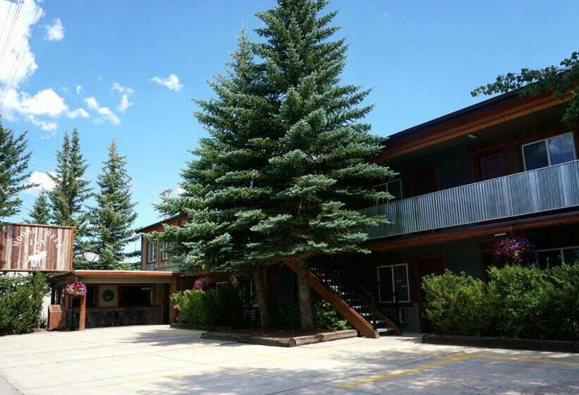 בית מלון כפרי Moose Creek Inn