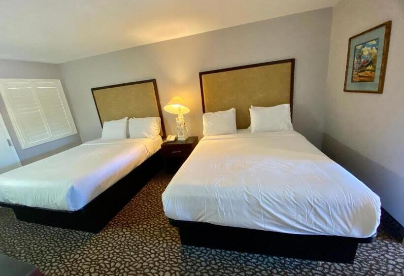 בית מלון כפרי Morro Shores Inn And Suites