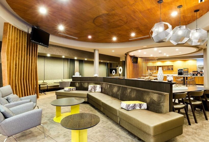 هتل Springhill Suites By Marriott Mcallen Convention Center