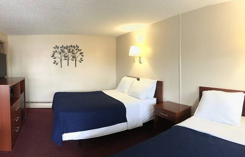 هتل Swiss Cottage Inn