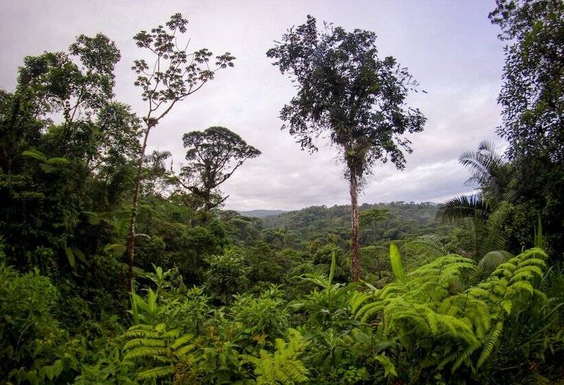 ホテル Tapirus Lodge