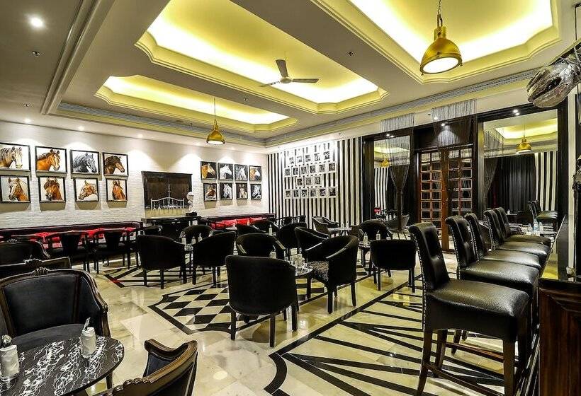 فندق Piccadily Raipur