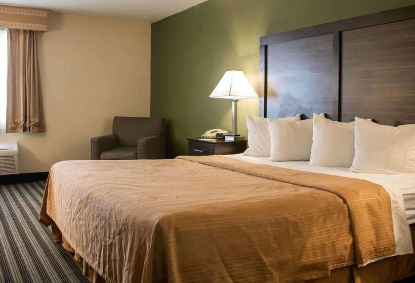 酒店 Quality Inn & Suites Loves Park Near Rockford