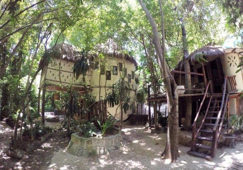 Fotos del hotel Shalala :  13