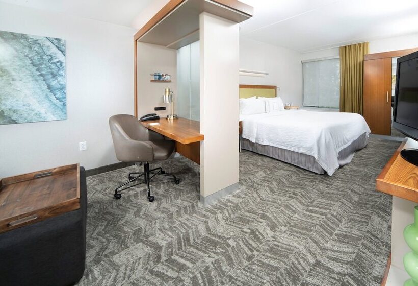 فندق Springhill Suites By Marriott Philadelphia Valley Forge/king Of Prussia