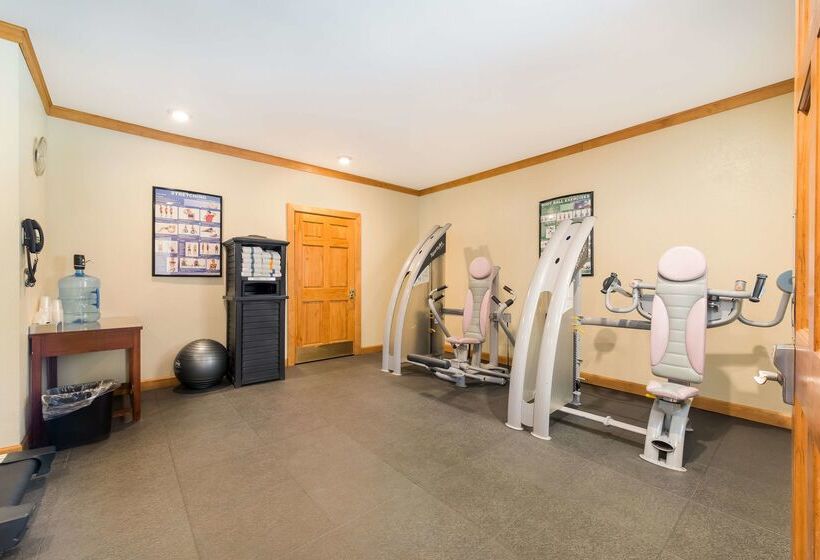 فندق Best Western Mountain Lodge At Banner Elk