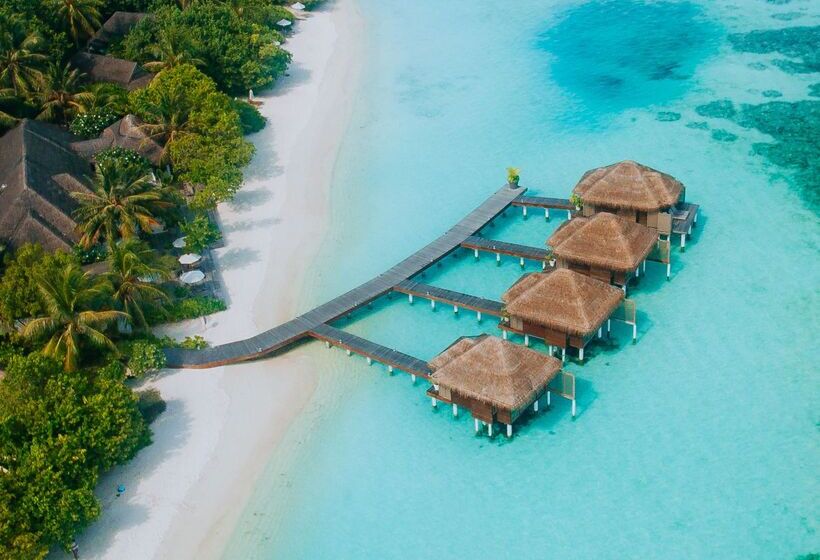 酒店 Lux South Ari Atoll Resort & Villas