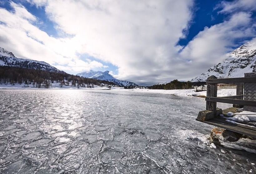 ホテル Maloja Palace