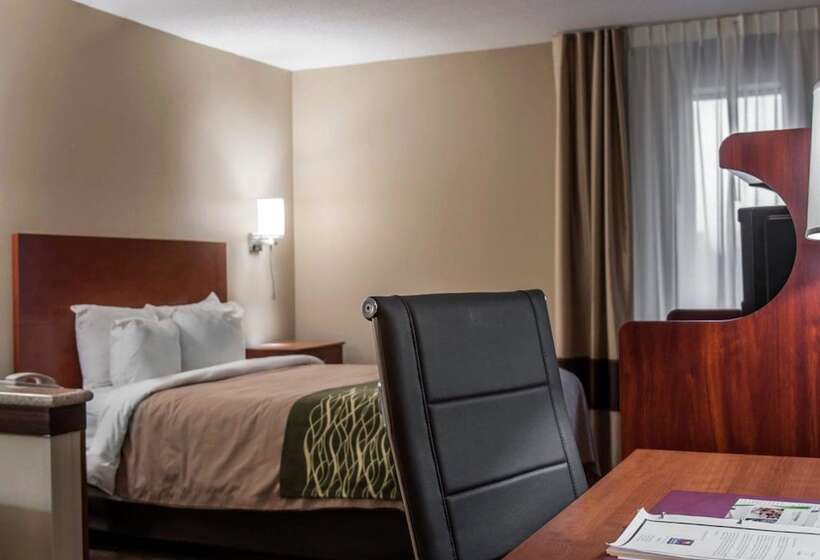 בית מלון כפרי Quality Inn & Suites Near St. Louis And I255