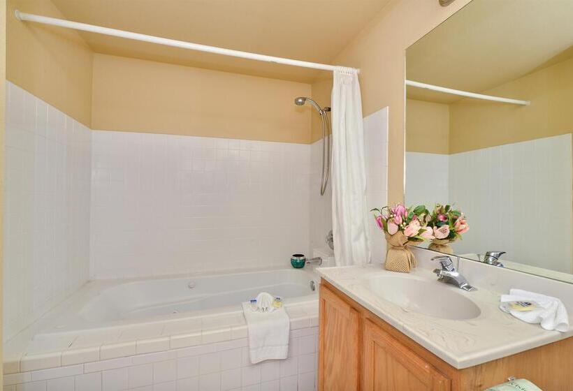 هتل Americas Best Value Inn Lakewood Tacoma S