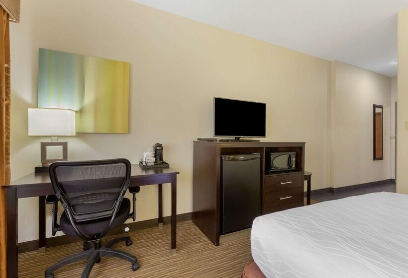 هتل Best Western Plus The Four Corners Inn