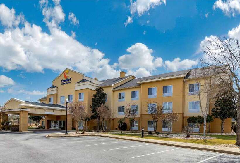 فندق Comfort Inn & Suites