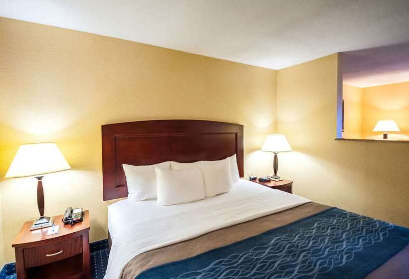 هتل Comfort Inn & Suites