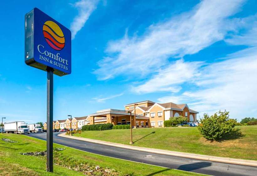 هتل Comfort Inn & Suites