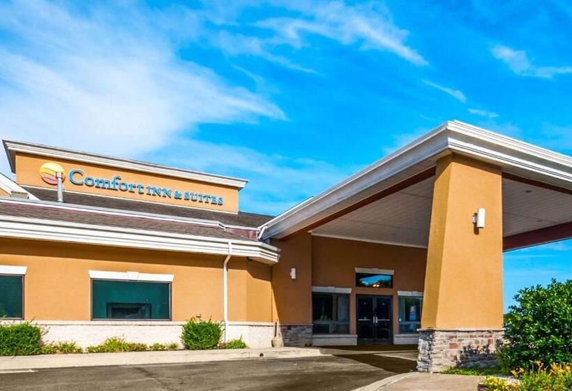 هتل Comfort Inn & Suites