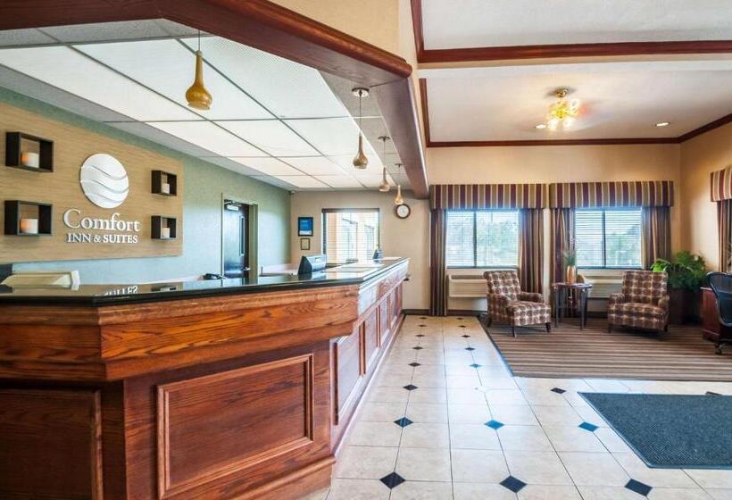 هتل Comfort Inn & Suites