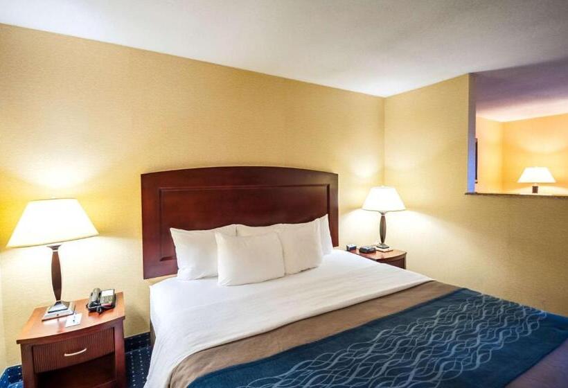 هتل Comfort Inn & Suites