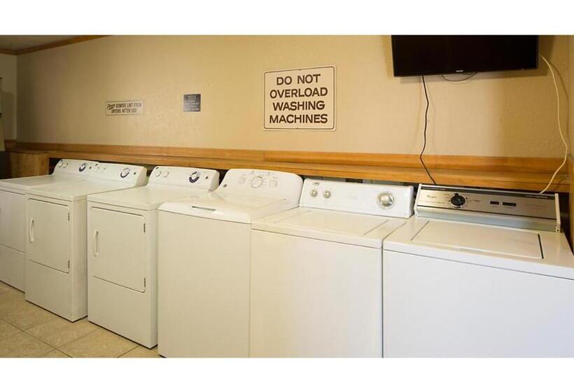 فندق Dolphin Beach Club