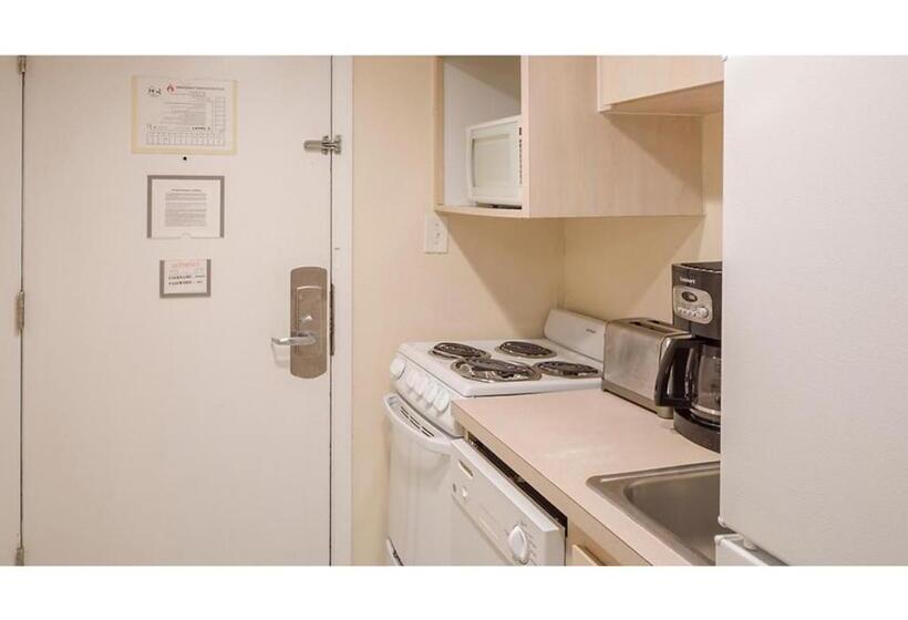 فندق Dolphin Beach Club