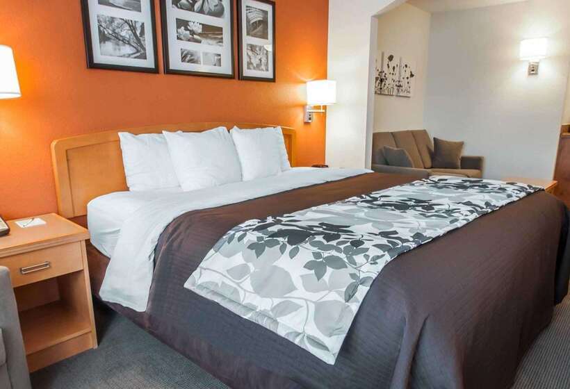 ホテル Sleep Inn & Suites Lake Of The Ozarks
