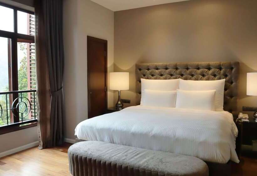 فندق The Chateau Spa & Wellness Resort