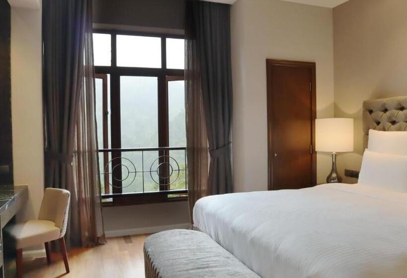 فندق The Chateau Spa & Wellness Resort