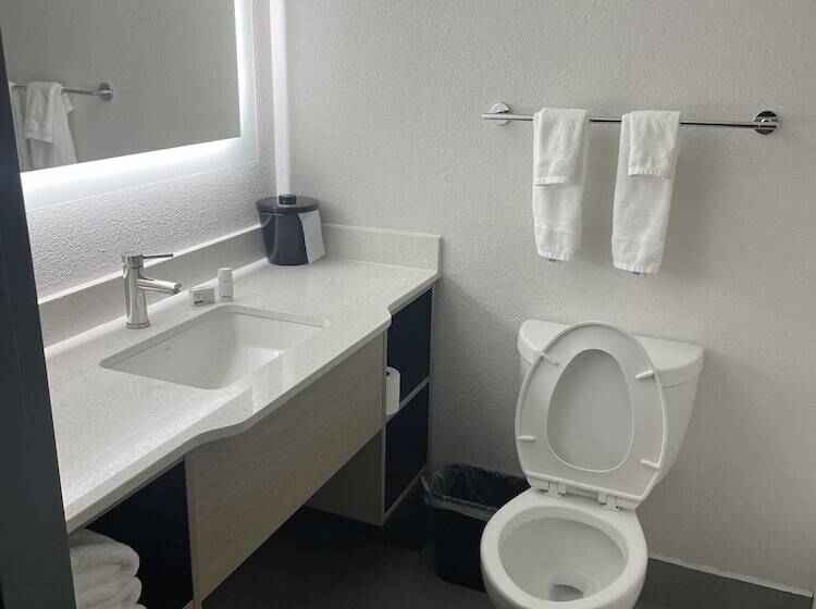 בית מלון כפרי Wingate By Wyndham Savannah Gateway