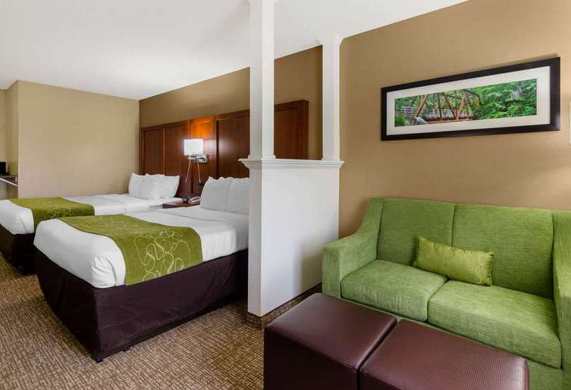 فندق Comfort Suites Abingdon I81