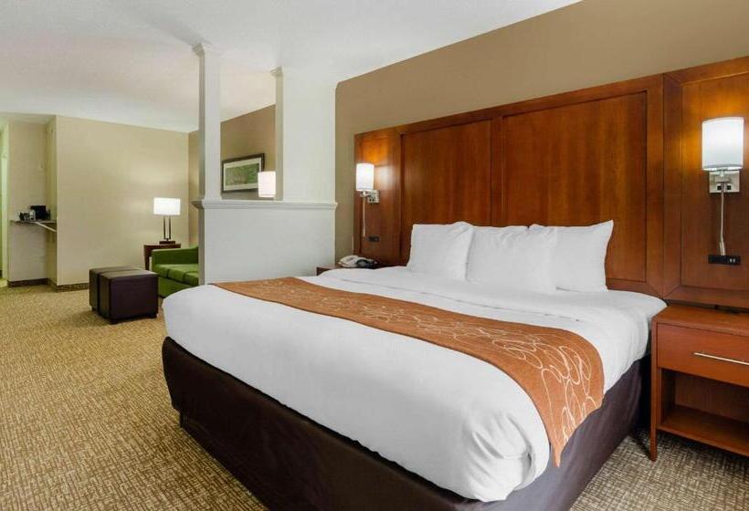فندق Comfort Suites Abingdon I81