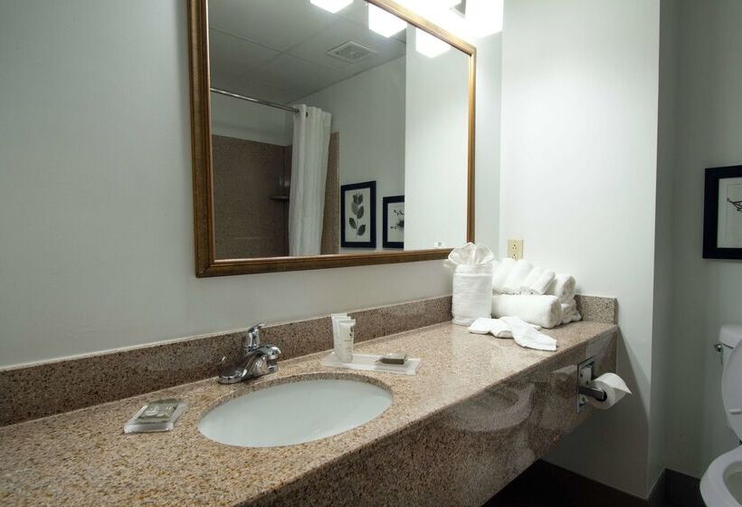 هتل Country Inn & Suites By Radisson, Augusta At I20, Ga