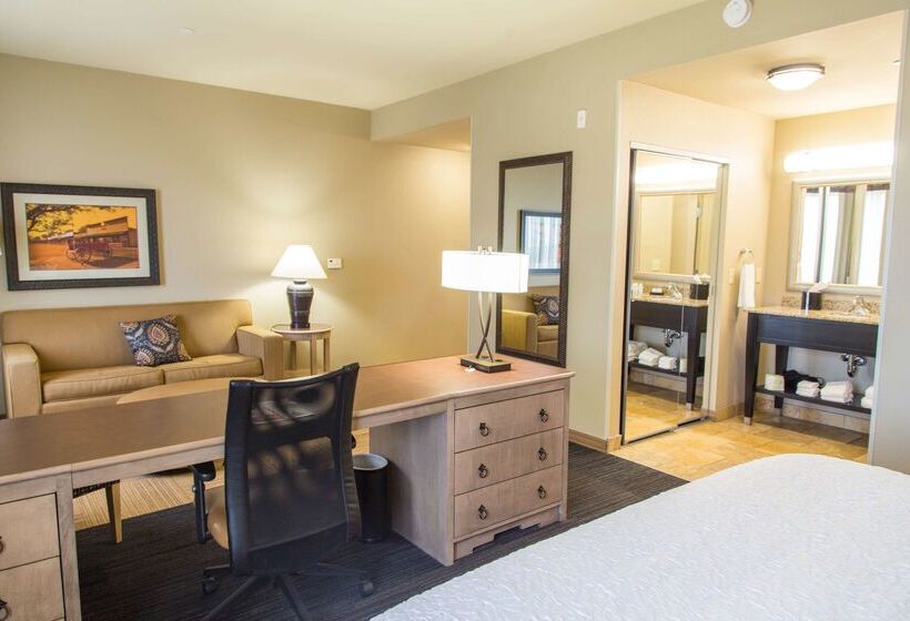 هتل Hampton Inn & Suites Dodge City