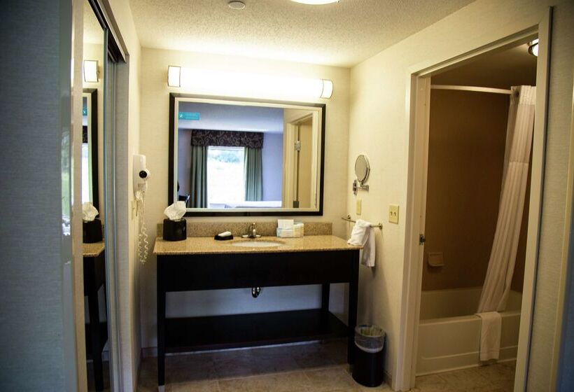 ホテル Hampton Inn & Suites Sharon