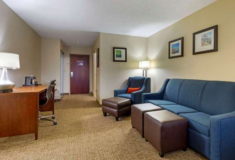 هتل Comfort Inn & Suites Cambridge