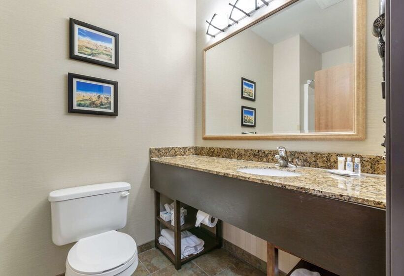 فندق Comfort Inn & Suites Mitchell I 90